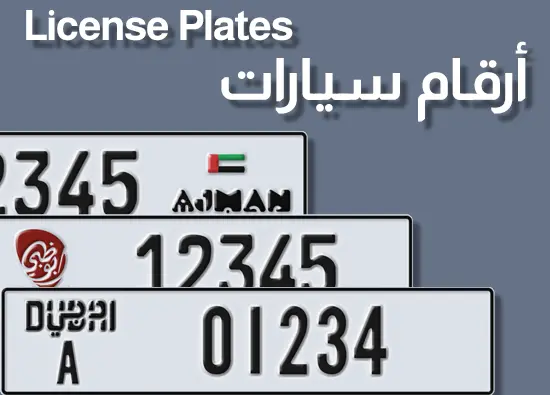 License Plates Section